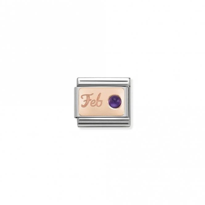 Classic Rose Gold February Amethyst Birthday & Birthstones Charms
