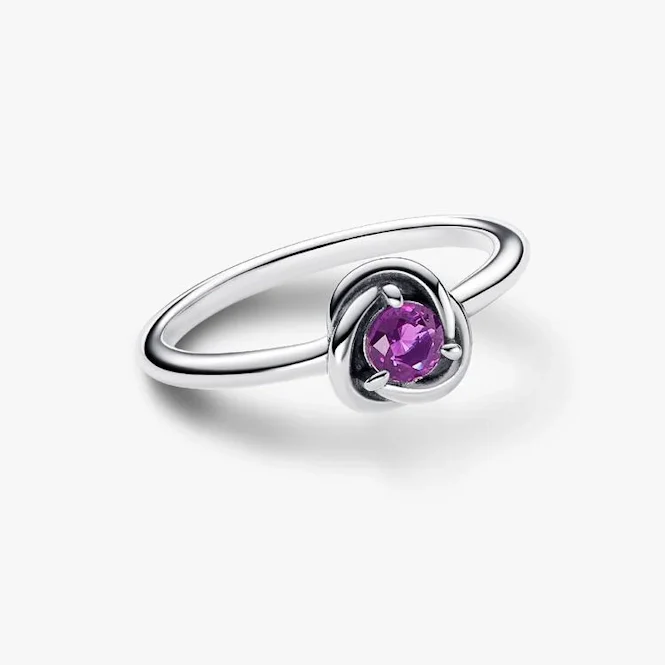February Birthstone Eternity Circle Ring, Size 52 - Image 2