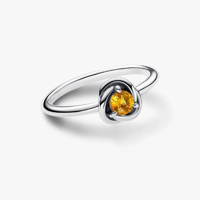 November Birthstone Eternity Circle Ring, Size 52 - Image 2