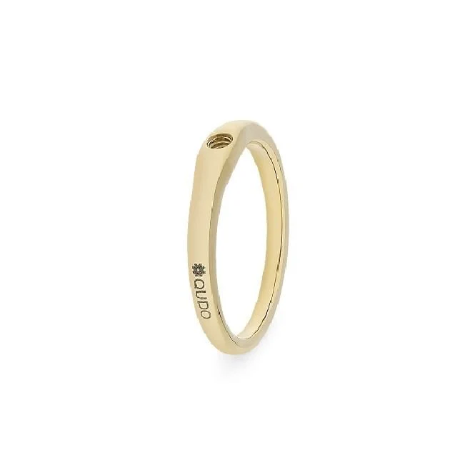 Fine Gold Interchangeable Ring, Size 52