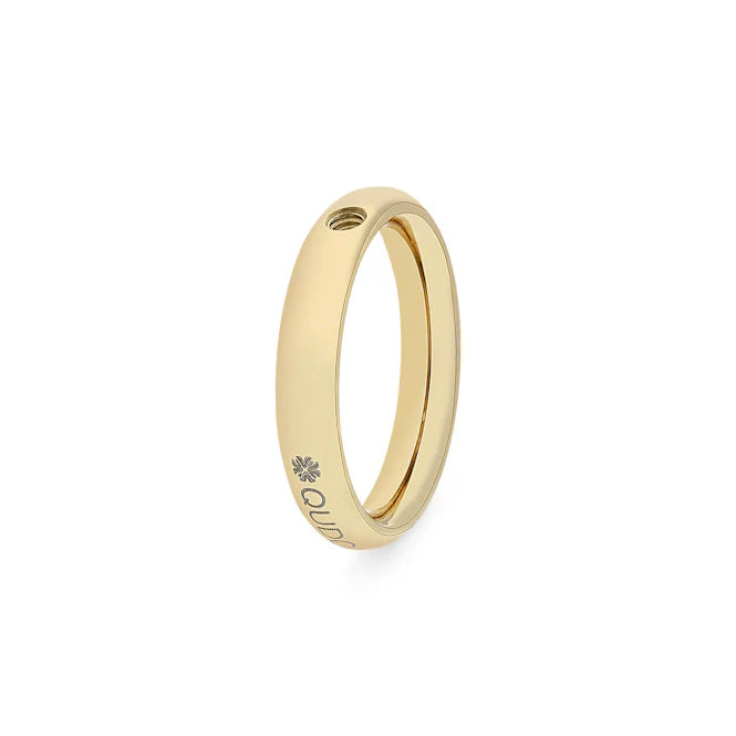 Slim Gold Interchangeable Ring, Size 54